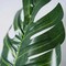 6 pcs Monstera Leaves Artificial Tropical Greenery Stems Wedding Party Supplies